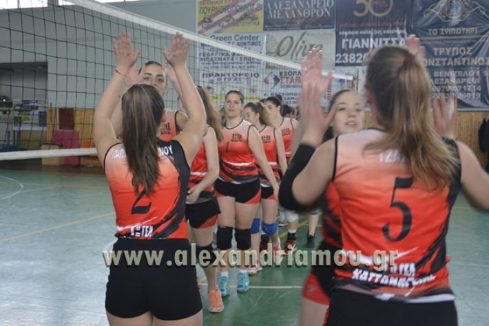 volley _1ogel-kassandra014